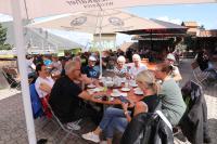Harz 2024h